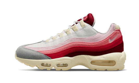 Air Max 95 Anatomy of Air